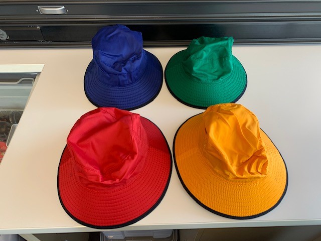 House Colour Hats Chandler Park Ps